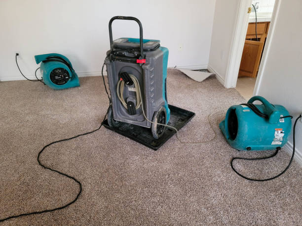 Best Sewage cleanup and water damage restoration  in Newcastle, OK
