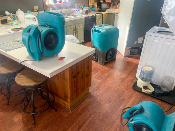 Best Water damage restoration near me  in Newcastle, OK