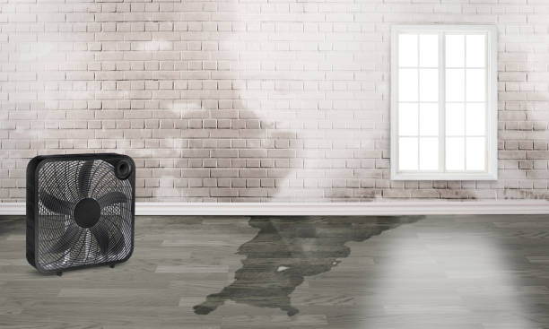 Best Ceiling water damage repair  in Newcastle, OK