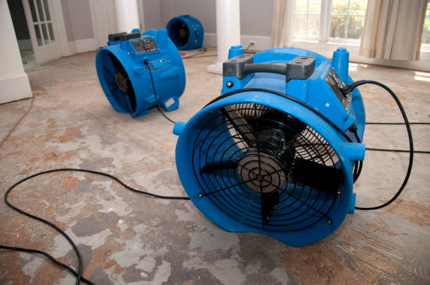 Best Water damage cleanup near me  in Newcastle, OK